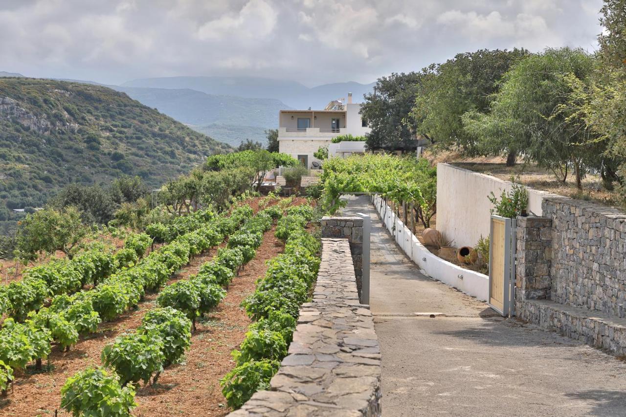Amvikas Suites-Sitia Exterior photo